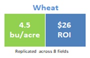 MycoGold Wheat Biological 2024 test results