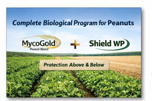 Peanut Biological for disease, health, and protection.