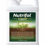 Nutrifol Liquid Package